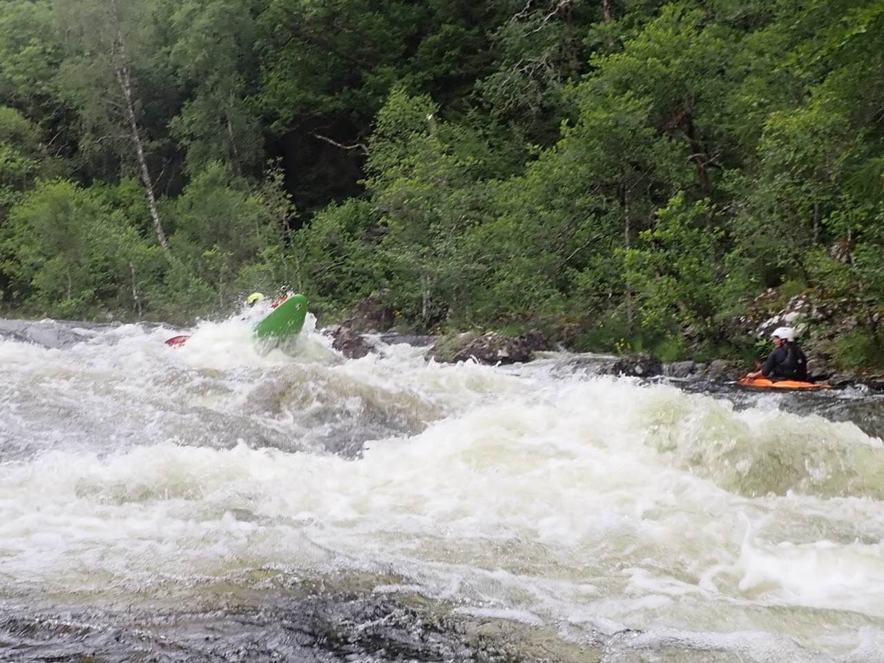 A picture containing tree, outdoor, water, surfing
Description automatically generated