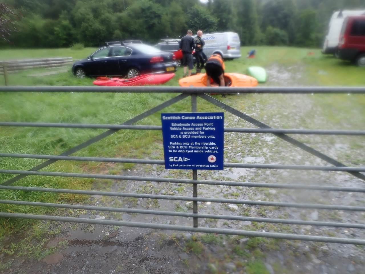 A picture containing text, grass, outdoor, tree
Description automatically generated