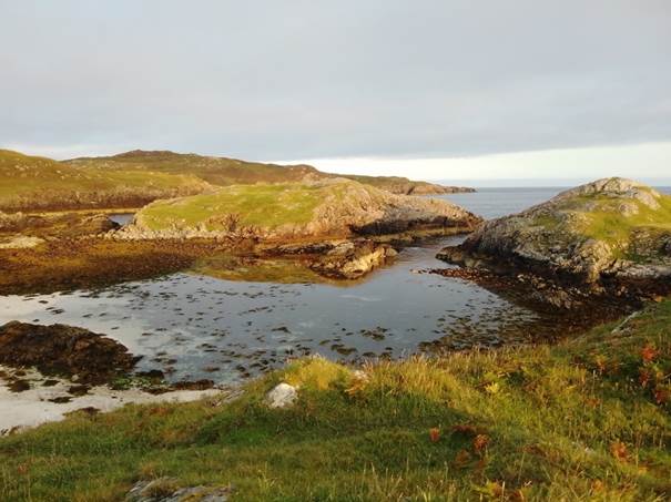 A picture containing grass, outdoor, water, nature

Description automatically generated