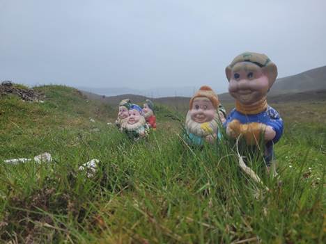A group of children in a grassy field

Description automatically generated with low confidence