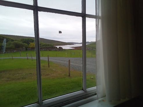 A picture containing grass, sky, window, building

Description automatically generated