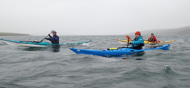 A group of people in kayaks

Description automatically generated with medium confidence