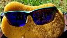 A piece of bread with sunglasses

Description automatically generated with low confidence