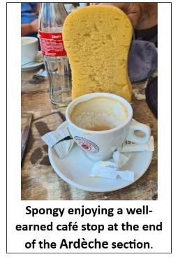 A cup of coffee on a plate

Description automatically generated with low confidence