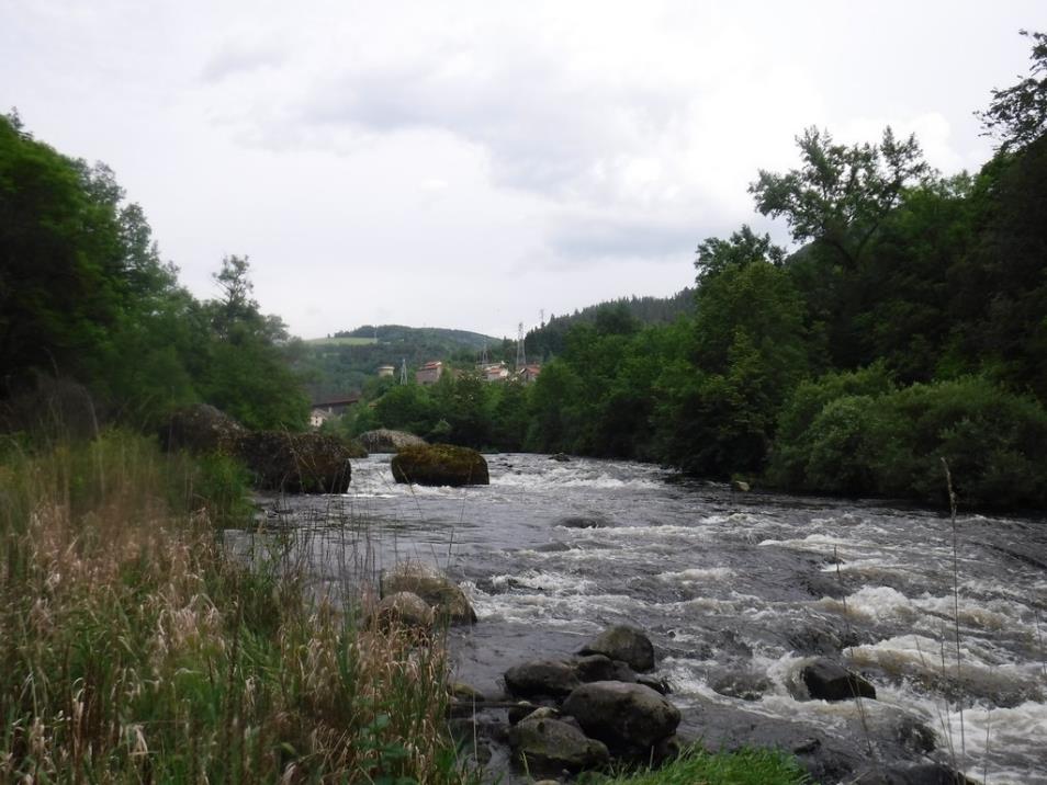 A river flowing through a forest

Description automatically generated with low confidence