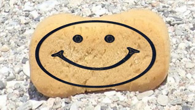 A smiling face on a piece of bread

Description automatically generated with low confidence