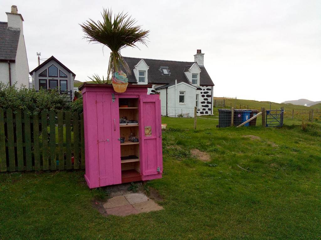 A pink shed in a grassy area

Description automatically generated